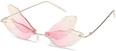 Dragonfly Wing Frames