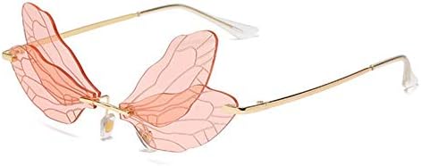 Dragonfly Wing Frames