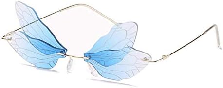 Dragonfly Wing Frames