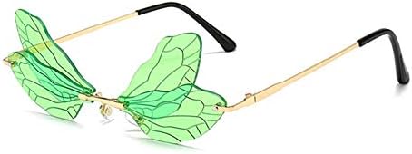 Dragonfly Wing Frames