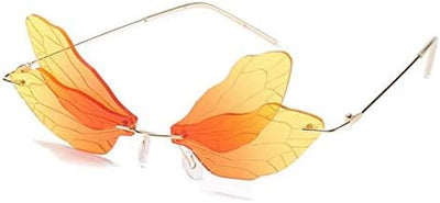 Dragonfly Wing Frames