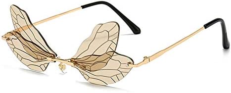 Dragonfly Wing Frames