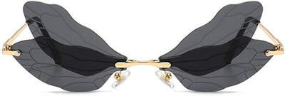 Dragonfly Wing Frames